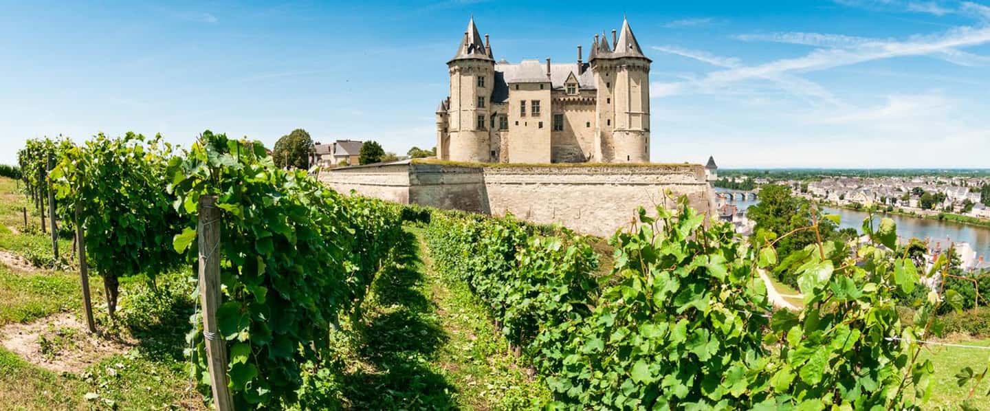 image n.11 of Exclusive Wine Day Trip Loire Valley from Paris activity in Amboise, uploaded by supplier
