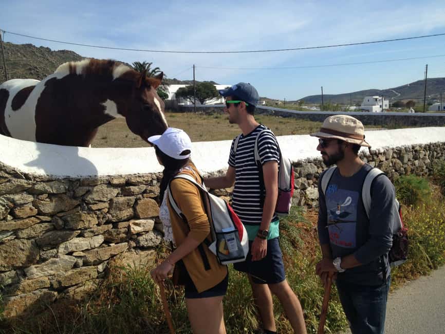 image n.2 of Mykonos Hiking Adventure activity in Cyclades, uploaded by supplier