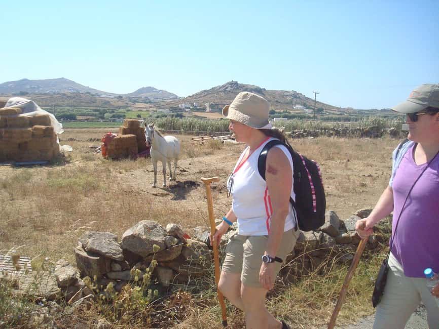 image n.4 of Mykonos Hiking Adventure activity in Cyclades, uploaded by supplier