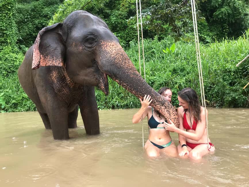 image n.4 of Chiang Mai: Elephant Sanctuary & Waterfall Group Tour activity in Chiang Mai, uploaded by supplier