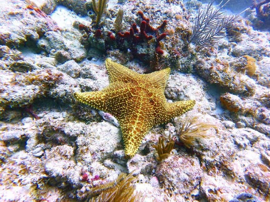 image n.6 of Salaam Cave, Starfish Adventure, The Rock Lunch, Kuza Cave activity in Jambiani, uploaded by supplier
