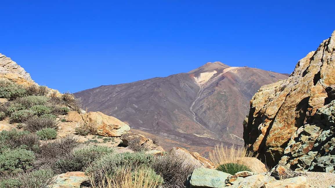 billede nr.7 af aktiviteten Fra det sydlige Tenerife: Halvdagstur til Teide-bjerget i Kanarieøerne, uploadet af udbyder