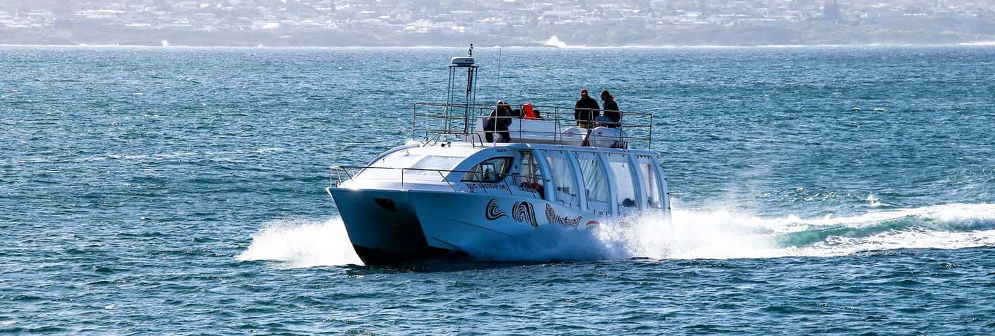 image n.6 of Hermanus: Boat Based Whale Watching Experience activity in Hermanus, uploaded by supplier