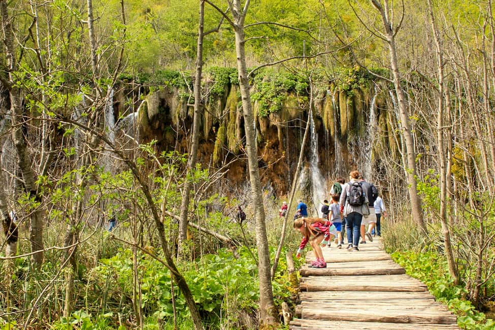 image n.13 of From Split: Plitvice Lakes Fully-Guided Day Tour activity in Zagreb County, uploaded by supplier