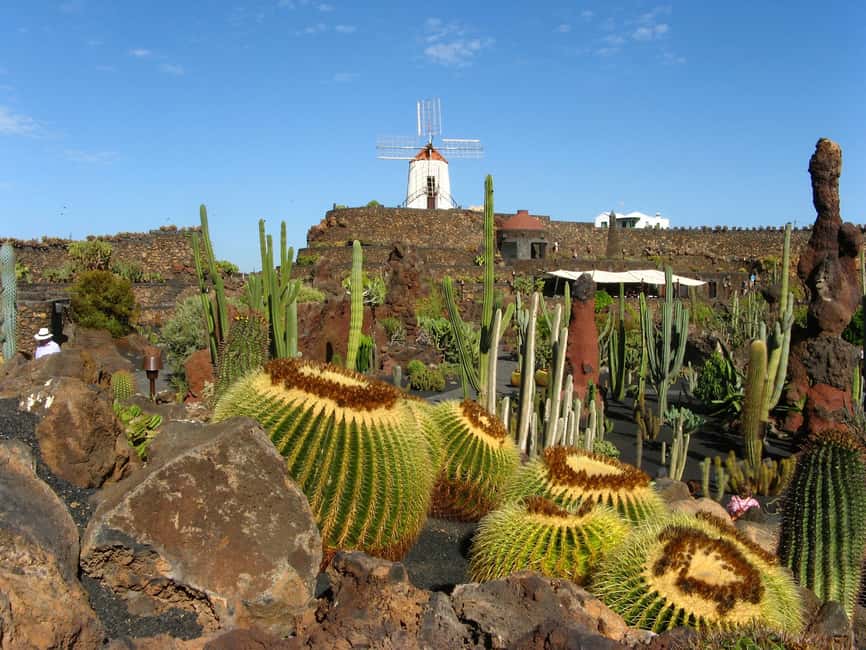 image n.5 of Lanzarote Coast-2-Coast Tour activity in Guatiza, uploaded by supplier