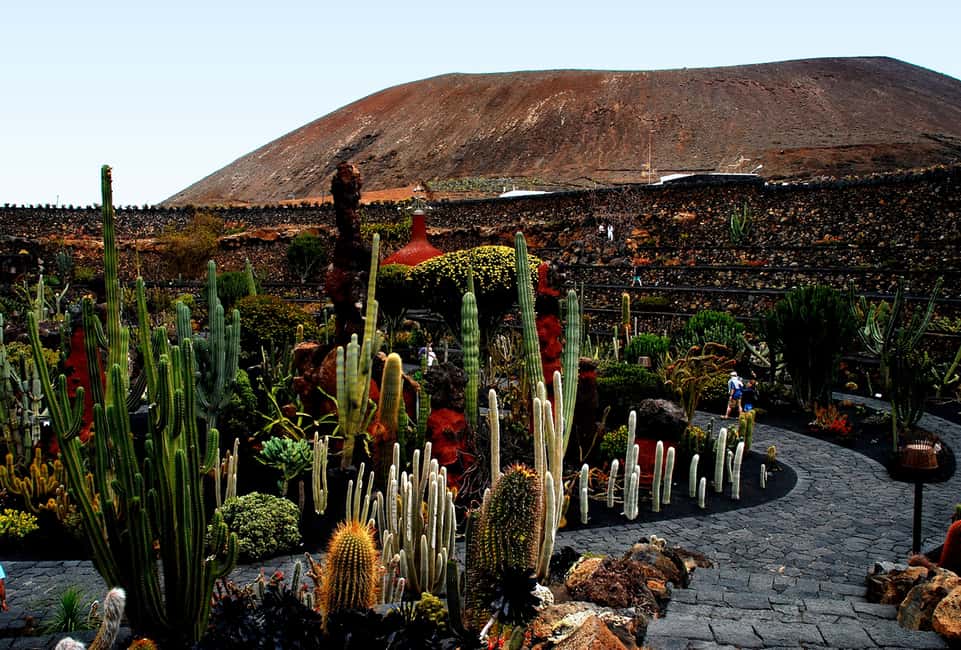 image n.6 of Lanzarote Coast-2-Coast Tour activity in Guatiza, uploaded by supplier