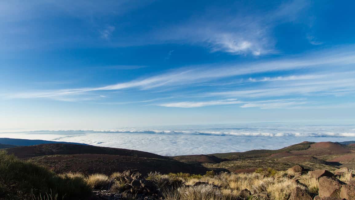 image n.5 of From Playa de las Américas: Full-Day Teide Jeep Safari activity in Canary Islands, uploaded by supplier