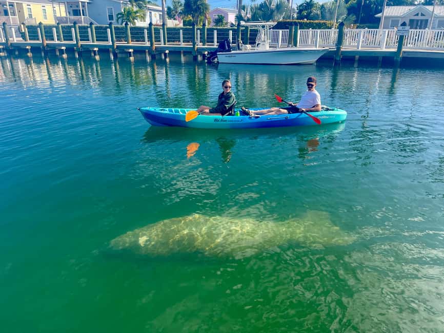 imagen n.º 4 de Cayo Hueso: Excursión de 2 horas en kayak por los manglares actividad en Florida, subida por el proveedor