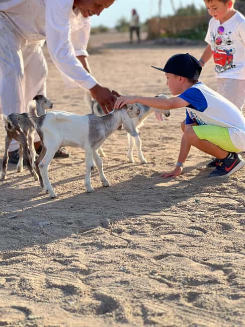 Immagine nº 15 di Hurghada: Avventura nel deserto con osservazione delle stelle in jeep e cena attività a Hurghada, caricata dal fornitore