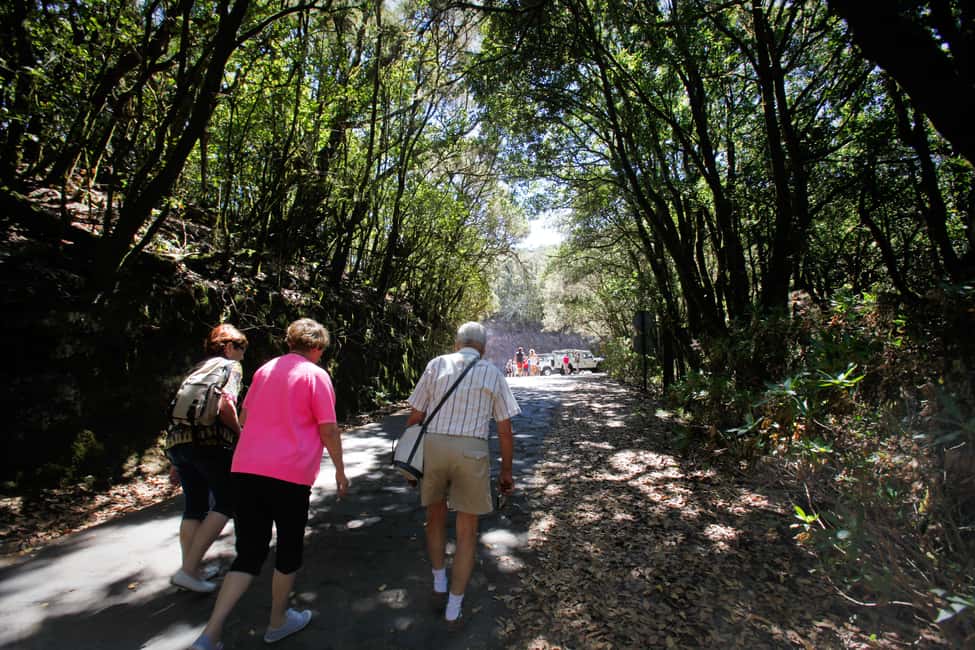 image n.5 of Full-Day Gomera Jeep Safari Excursion from Arona activity in Hermigua, uploaded by supplier