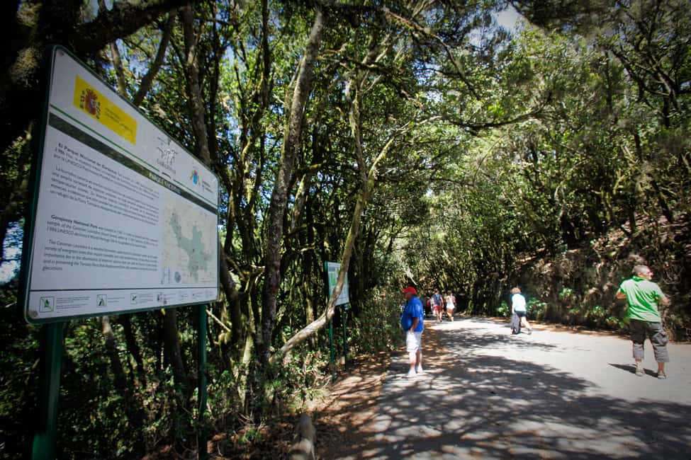 image n.6 of Full-Day Gomera Jeep Safari Excursion from Arona activity in Hermigua, uploaded by supplier