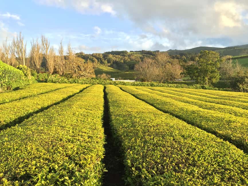 image n.2 of São Miguel Island: Full Day All-in-One Tour activity in Porto Formoso, uploaded by supplier