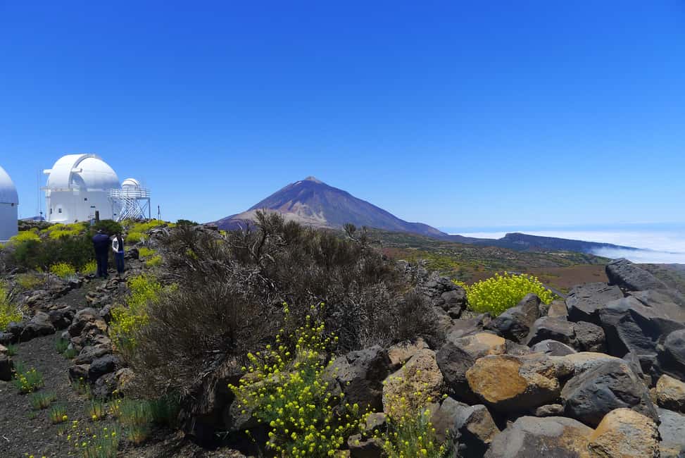 bild nr.3 av Teneriffa: Astronomisk rundtur i Teide-observatoriet aktivitet i Costa Adeje, uppladdad av arrangören