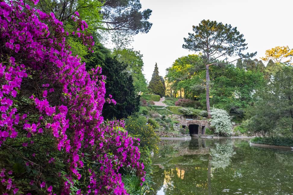 image n.11 of Porto: Serralves Foundation All Access Pass activity in Porto, uploaded by supplier
