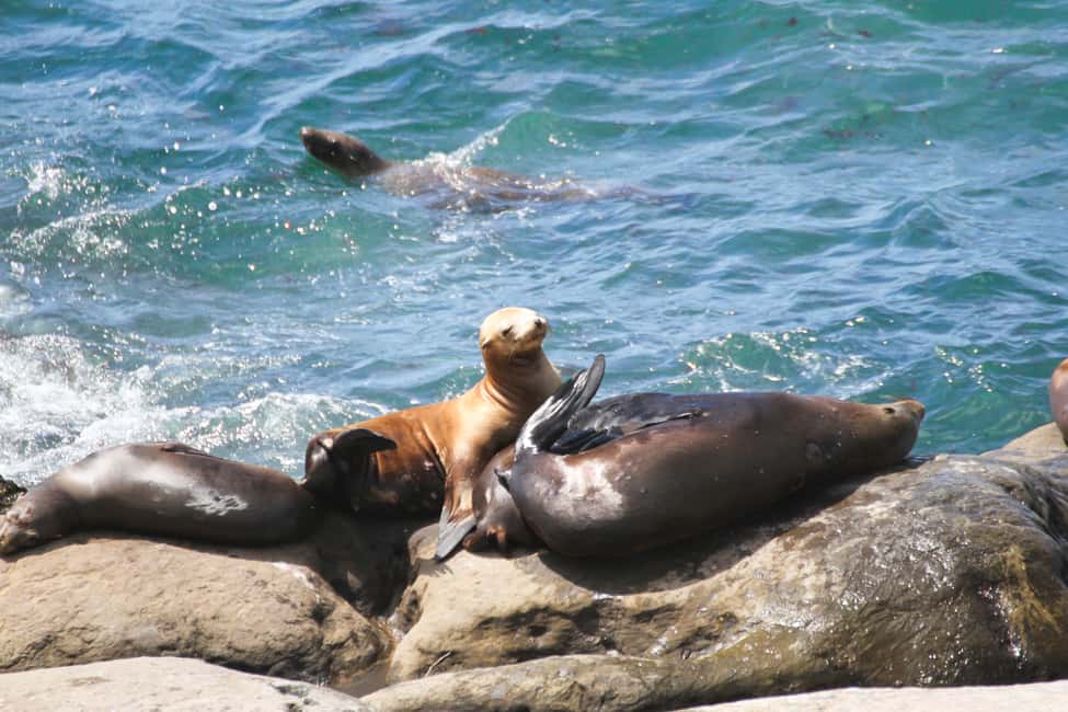 image n.2 of The San Diego Highlights Tour activity in Coronado, uploaded by supplier