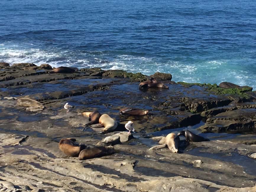 image n.6 of The San Diego Highlights Tour activity in Coronado, uploaded by supplier