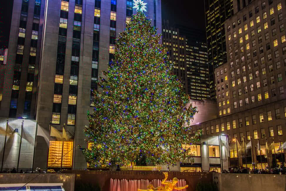 image n.1 of New York City: Christmas Holiday Tour of Manhattan activity in New York City, uploaded by supplier