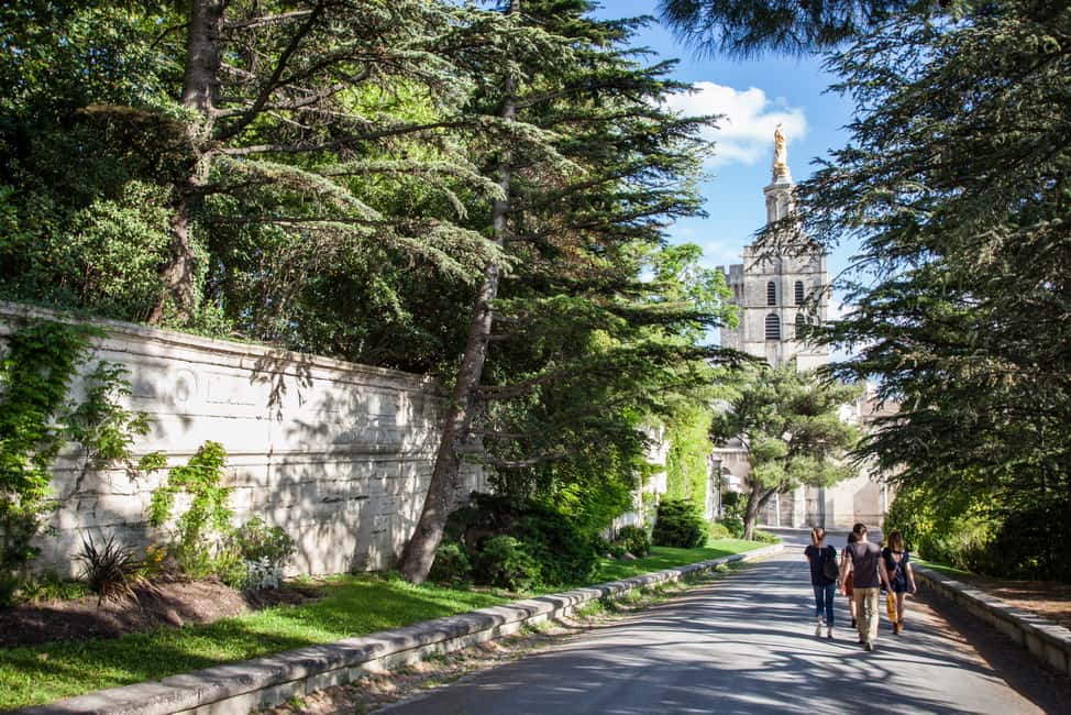 imagem n.4 de Avignon: Excursão a pé pela cidade com entrada no Palácio dos Papas atividade em Avignon, carregada pelo fornecedor