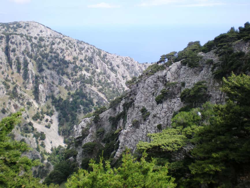 image n.7 of From Rethymno: Imbros Gorge & Libyan Guided Sea Tour activity in Crete, uploaded by supplier
