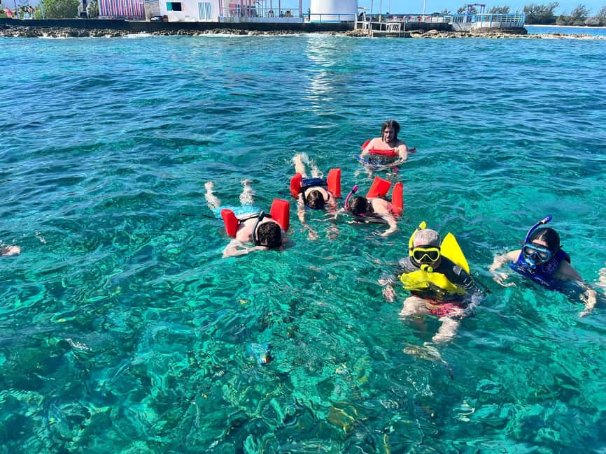 Image N°4 de Nassau : Plongée en apnée, cochons nageurs, tortues et bar de plage activité à Exumas, publiée par le prestataire