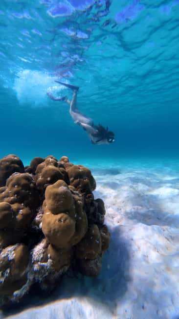 image n.30 of Koh Lipe: Longtail Boat Snorkeling Trip with Lunch activity in Gulf of Thailand, uploaded by supplier