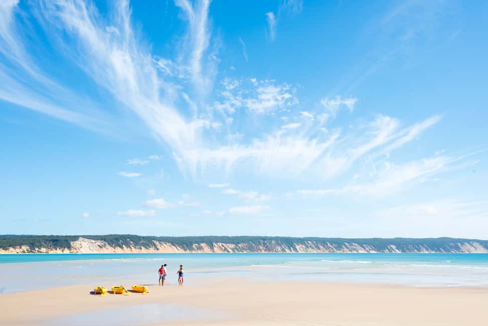 image n.9 of Noosa: Dolphin Sea Kayak & Beach 4X4 Tour (in National Park) activity in Gympie, uploaded by supplier