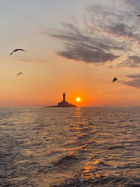 Immagine nº 19 di 3 ore di osservazione dei delfini al tramonto con bevande illimitate + cena attività a Istarska, caricata dal fornitore