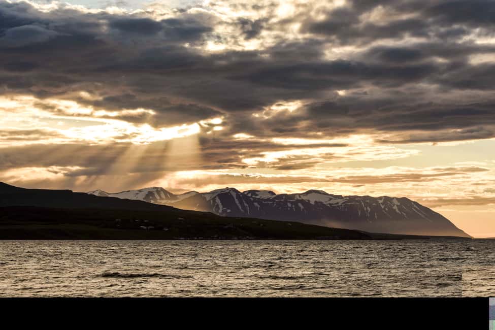 Image N°7 de Akureyri : observation des baleines sous le soleil de minuit activité à Norðurland eystra, publiée par le prestataire