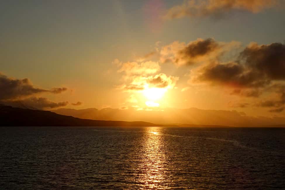 Image N°4 de Akureyri : observation des baleines sous le soleil de minuit activité à Norðurland eystra, publiée par le prestataire