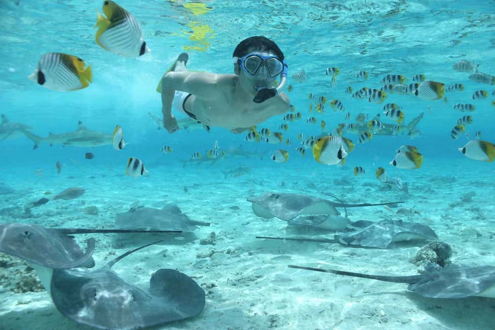image n.5 of Bora Bora by Land and Sea: 4WD Safari and Snorkel activity in Papeete, uploaded by supplier