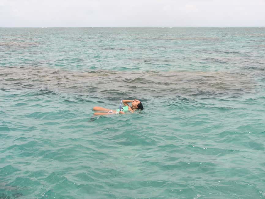 image n.10 of Maracajau Parrachos Reef: Mask and Snorkel swim adventure activity in Natal, uploaded by supplier