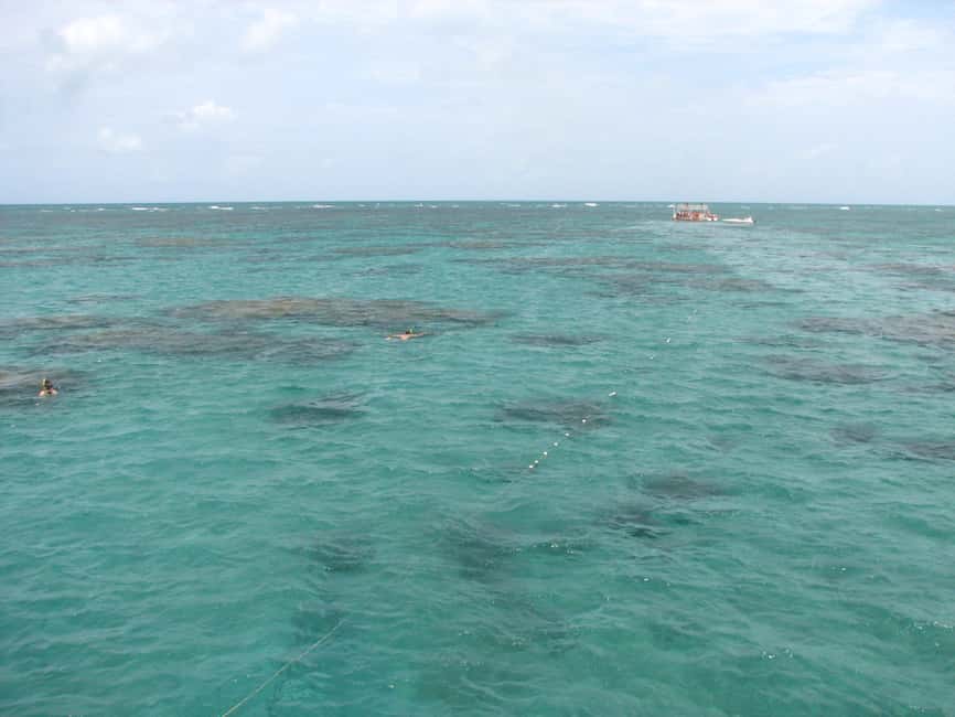 image n.11 of Maracajau Parrachos Reef: Mask and Snorkel swim adventure activity in Natal, uploaded by supplier