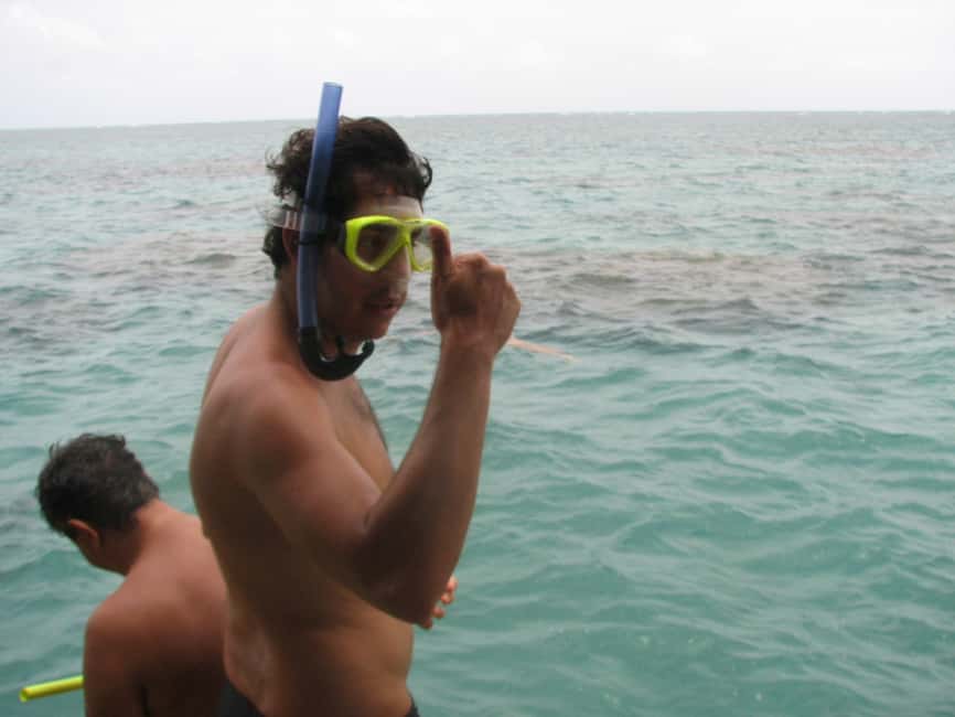 image n.12 of Maracajau Parrachos Reef: Mask and Snorkel swim adventure activity in Natal, uploaded by supplier