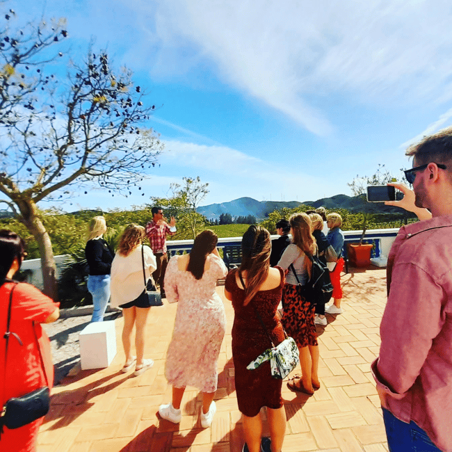 image n.19 of From Albufeira: Full-Day Wine Tasting Tour with a Guide activity in Monchique, uploaded by supplier