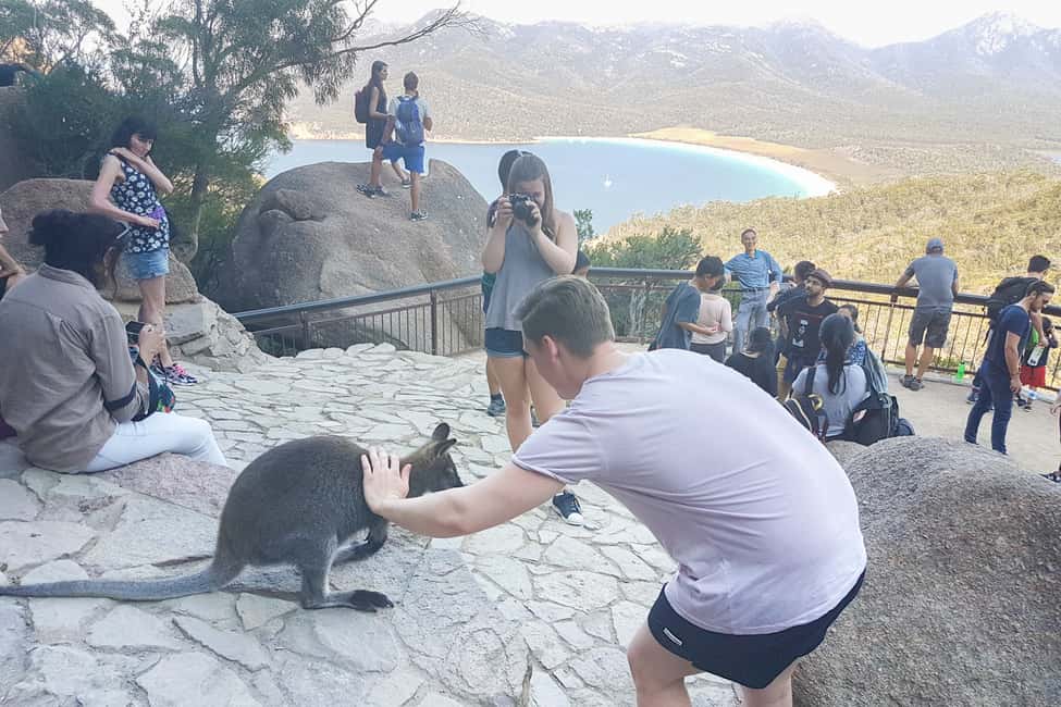 image n.3 of Wineglass Bay & Freycinet National Park Day Trip from Hobart activity in Coles Bay, uploaded by supplier