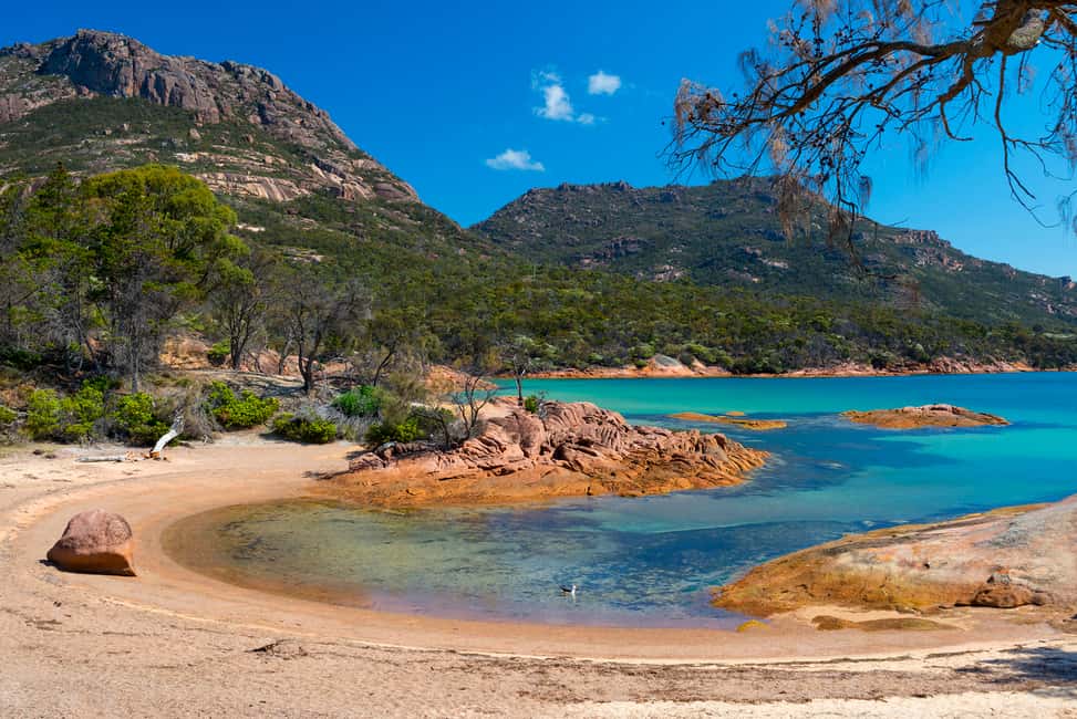 image n.5 of Wineglass Bay & Freycinet National Park Day Trip from Hobart activity in Coles Bay, uploaded by supplier