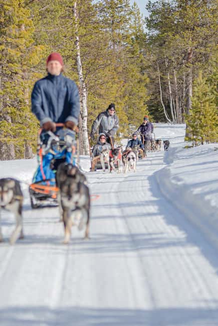 billede nr.2 af aktiviteten Levi: Husky-slædetur om aftenen under nordlyset i Kittilä, uploadet af udbyder