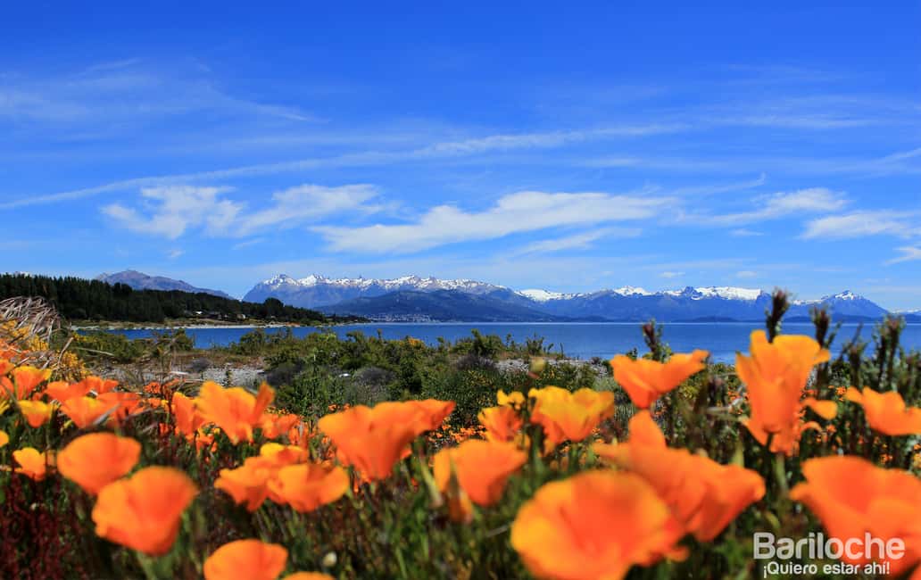 imagem n.10 de San Martín de los Andes por 7 Lagos atividade em Região dos Lagos, Argentina, carregada pelo fornecedor