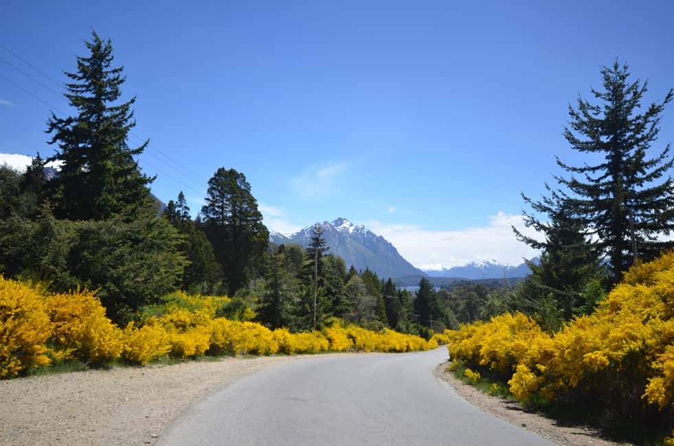 imagem n.4 de San Martín de los Andes por 7 Lagos atividade em Região dos Lagos, Argentina, carregada pelo fornecedor