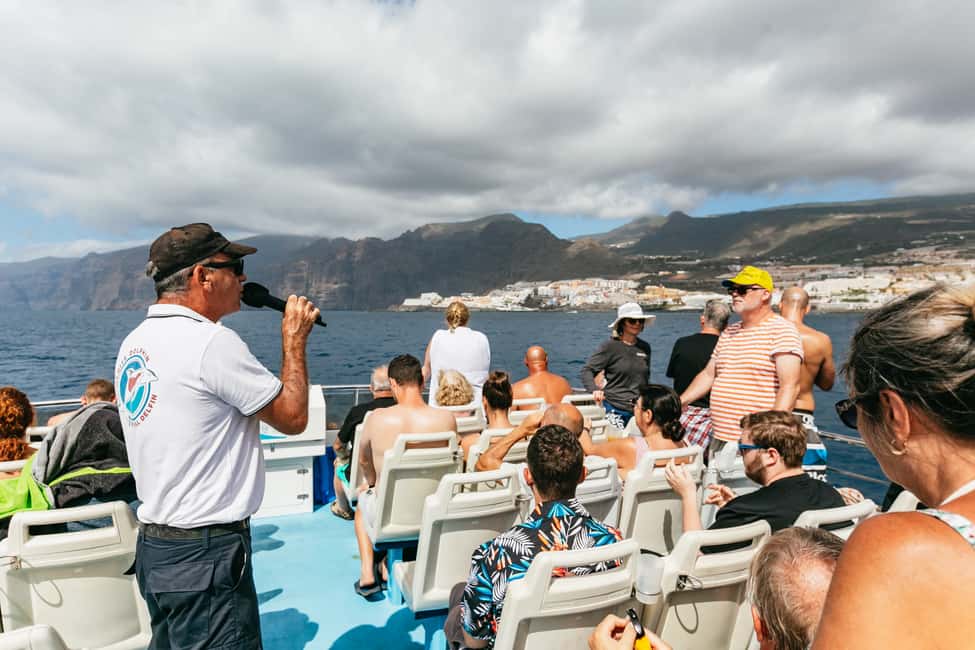 billede nr.17 af aktiviteten Adeje: Hval- og delfinsafari med frokost og svømmetur i Costa Adeje, uploadet af udbyder
