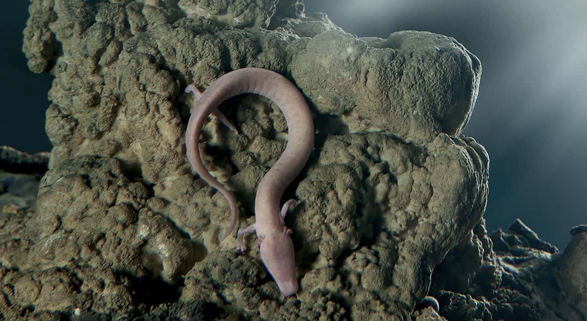 Immagine nº 3 di Da Trieste: Grotte di Postumia e Castello di Predjama attività a Postojna, caricata dal fornitore