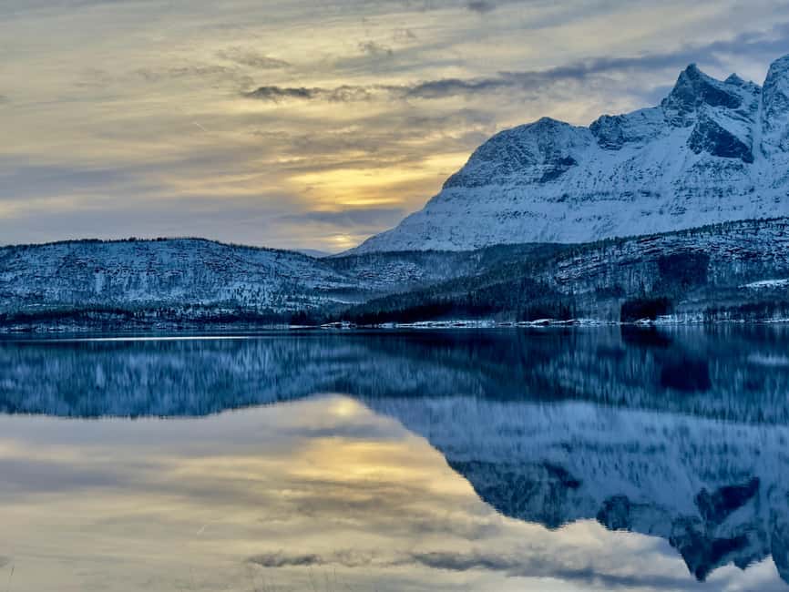 image n.29 of Narvik/Harstad:Day tour of Fjords with stop at Reindeer farm activity in Narvik, uploaded by supplier