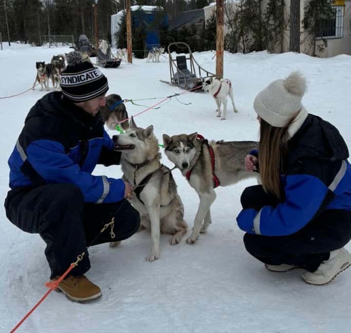 billede nr.9 af aktiviteten Levi: 5 km hundeslædetur i Levi i Sirkka, uploadet af udbyder