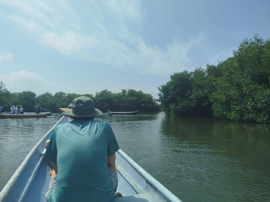 image n.66 of Cartagena: Private Sail in the mangrove GUIDE in ENGLISH activity in Cartagena, uploaded by supplier