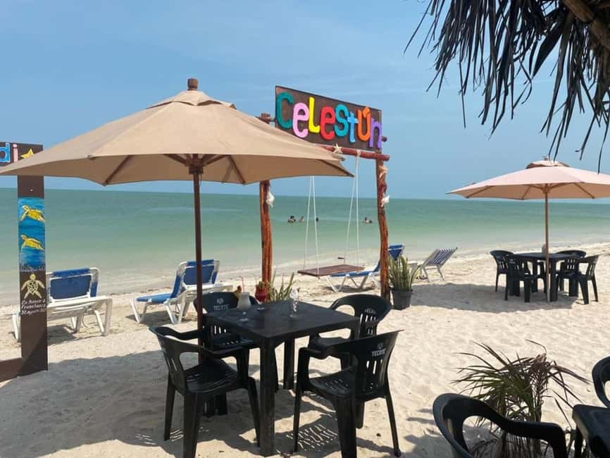 image n.22 of Merida: Celestun Boat Ride Mangrove Experience! Beach Time activity in Celestún, uploaded by supplier