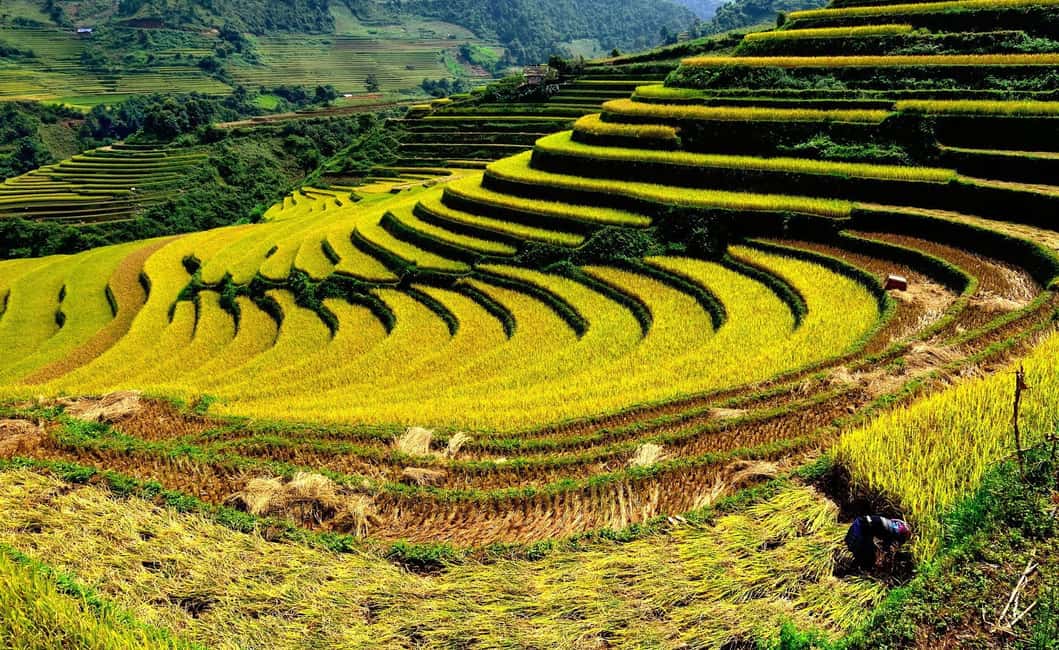 image n.12 of From Hanoi: 2-Day Sa Pa Ethnic Homestay Tour with Trekking activity in Sa Pa, uploaded by supplier