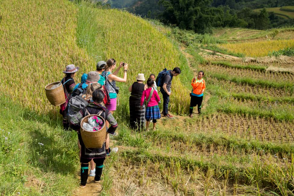 image n.30 of From Hanoi: 2-Day Sa Pa Ethnic Homestay Tour with Trekking activity in Sa Pa, uploaded by supplier