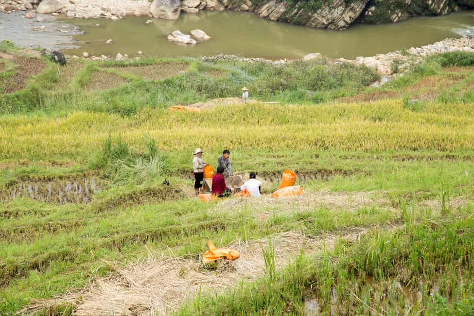 image n.17 of From Hanoi: 2-Day Sa Pa Ethnic Homestay Tour with Trekking activity in Sa Pa, uploaded by supplier