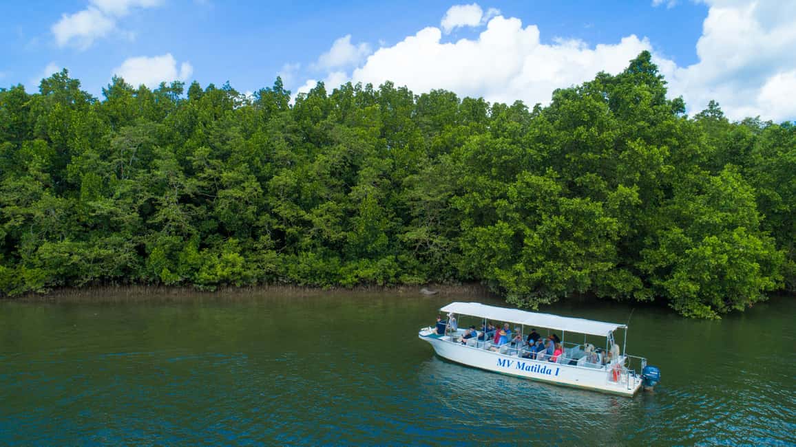 image n.5 of From Cairns: Daintree Rainforest & Cape Tribulation 4WD Tour activity in Queensland, uploaded by supplier