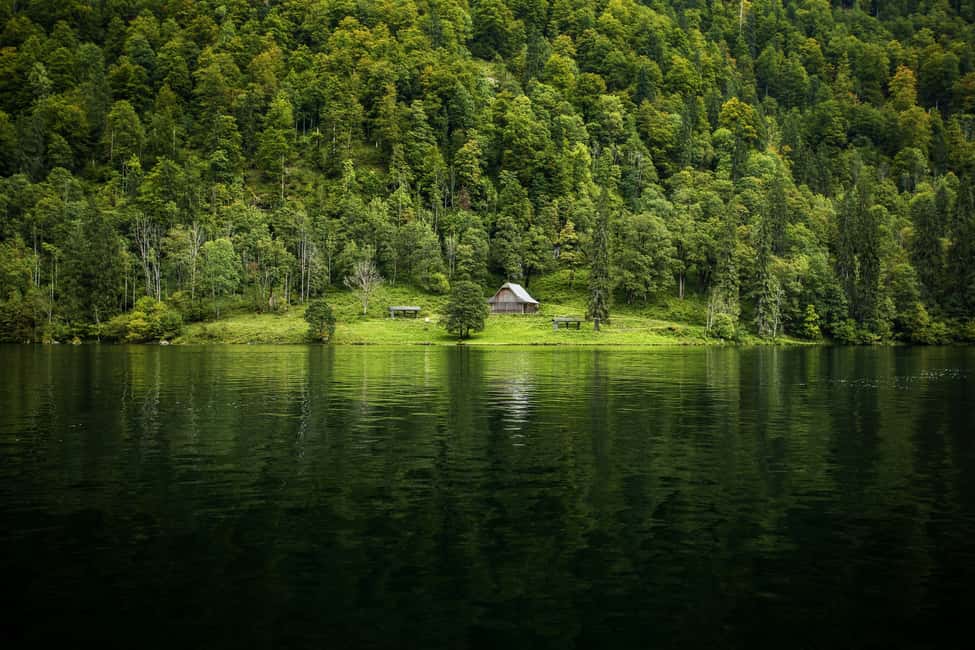 image n.5 of From Munich: Königsee Day Tour by Van activity in Schönau am Königssee, uploaded by supplier